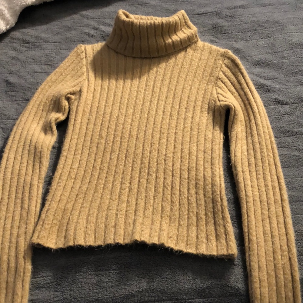 turtle neck